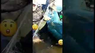 Вот это мы сегодня попали! Попали сегодня!