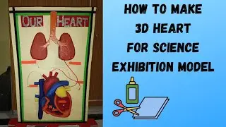 How to make Heart for Science model | Heart 3d Model | heart making video