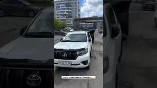 #болотоход