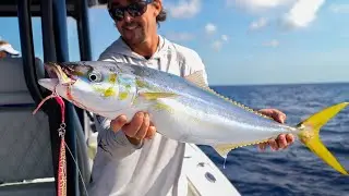 Underrated* SASHIMI? Rainbow Runner - Catch/Clean/Cook