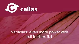 Variables: even more power with pdfToolbox 9.1