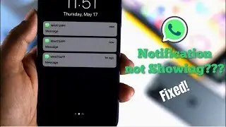 WhatsApp Notification Not Working On iPhone FIXED!! Apple info