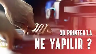 What Can Be Done With 3D Printer and How To Use It? Do it yourself at home!