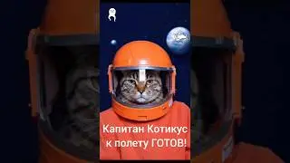 Согласились бы улететь с таким капитаном бороздить космическое пространство? #котики #ии  #нейросеть