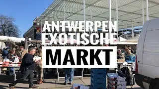 Antwerpen Exotische zaterdagmarkt