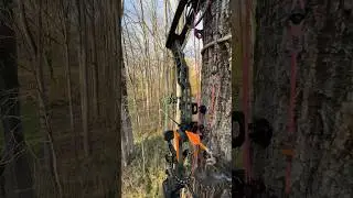 POV: You’re locked in for an all day rut hunt 🏹🦌 #deerhunting #bowhunter #bowhunting