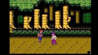Double Dragon part3