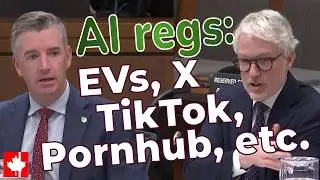 Chinese EVs, TikTok, X, Pornhub and beyond: Privacy Commissioner on AI regulation in Canada