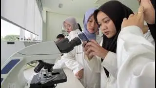 PRAKTIK LAPANGAN | Biomonitoring | Ruang Terbuka Hijau Cilacap | Kelompok3 | 2025 | 1C ~ Oto Prasadi