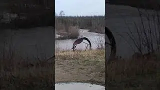Красноярский край поселок Снежногорск