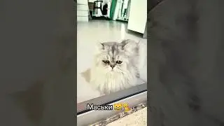 3 сентября 2024 г.