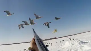 GOOSE HUNTING 2021 IN FROZEN SIBERIAN RIVER KOLYMA