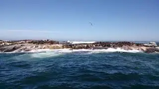 Godoy Island - This is the Atlantic side, where the waves are high - the surfing world tournament