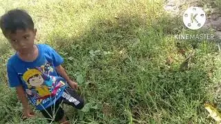 petualangan bocil cari belalang