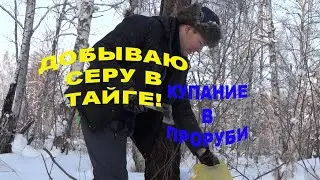 ДОБЫЧА СЕРЫ\ЛАГЕРЬ В ТАЙГЕ\БУШКРАФТ\КУПАНИЕ В ПРОРУБИ\ОТДЫХ В ЛЕСУ\СЕРА ЛИСТВЕННИЦЫ\ТУРИЗМ\ТАЙГА
