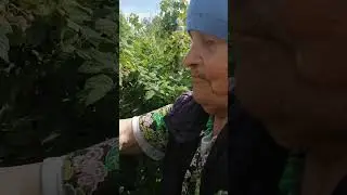 Турушева Зоя Данилова 92 года