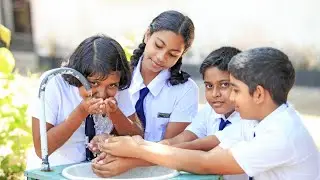Social Sustainability- Provide