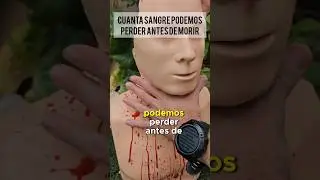 Cuanta sangre podemos perder antes de morir?.