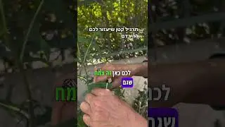 לא נרדמים? תרגיל קטן שיעזור לכם להירדם, בלי לקום מהמיטה!
