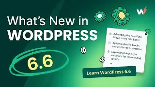 Everything You Need to Know About WordPress 6.6!