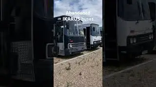 Abandoned buses