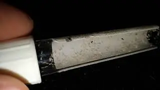 Кормовая ногохвостка 1.5 мм (Набор за 300р)
