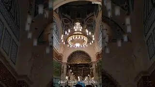 Roza Mubarak - Masjid Nabwi #iMHussain #madinamunawarah