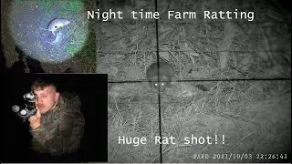Hunting Rats With Air Rifle and NIGHT VISION