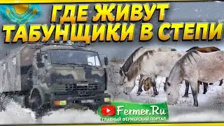 Беседы о коневодстве. Табун лошадей зимой. КУНГ для коневодов. Бауржан Оспанов, Ерагый Гишларкаев