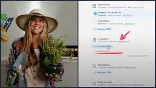 4 New Features To Help Grow A Money Tree (OCU Feature Roundup - August ‘23)