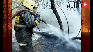 Пожар в области Абай