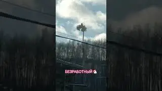 МАЛЕНЬКИЕ ТРАГЕДИИ 