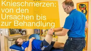 Knieschmerzen ⚡️ Ursachen, Symptome, Untersuchung & Behandlung