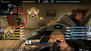Never Trust Team