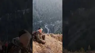 В поисках Торгашинского кота