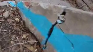 Синька  (Социальный Стрит Арт) / Sinka (Social Street Art) by Art Abstractov