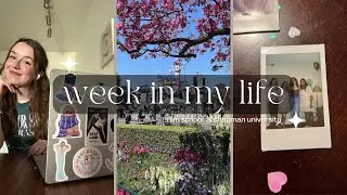 week in my life in film school [spring '23]