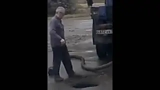 дед откинулся и упал яму для говновоза 