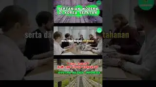 Belajar Hidup Seperti Selada - Filosofi Selada