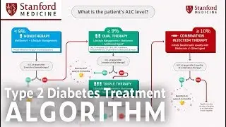 The ADA Type 2 Diabetes Management Algorithm
