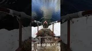 60 СЕКУНД В ЛЕДЯНОЙ ВОДЕ!#закаливание #спорт #зож #моржевание #атлетизм