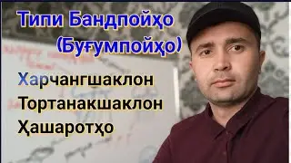 Arthropods (Arthropods) Type. General description of arthropods.