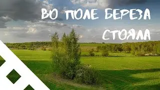 Во поле берёза стояла