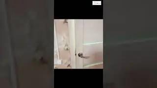 Турбаза Оазис на Балхаше