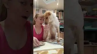 готовим