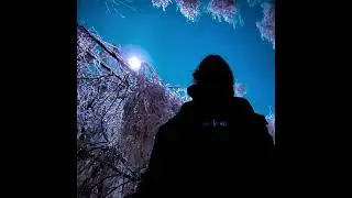 [FREE] Pashanim x Dante YN Type Beat - 