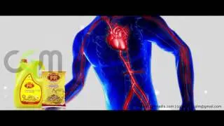 PR Groundnut Oil Animated Ad