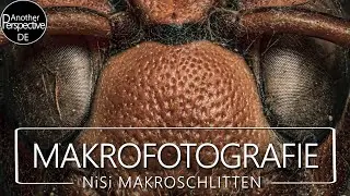 Extreme Makrofotografie und Focus Stacking mit Nisi Makro Schlitten