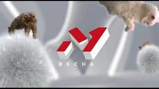 TV CHANNEL M1 - Cats 2016