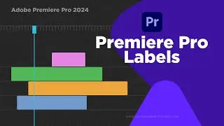 How to Use Labels in Adobe Premiere Pro 2024 — Premiere Pro for Beginners (Part 21)